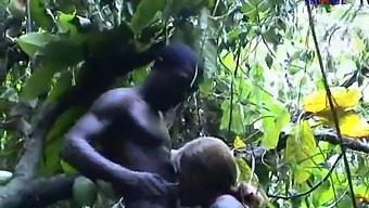Interracial Romance With African Beauty Sauvage 4