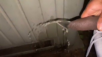 Woman Flashes And Pees In Public For A Cigarette
