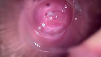 Close-Up Of A Young Woman'S Intimate Area During Massage And Orgasm